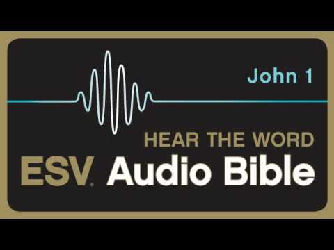 john 1 esv