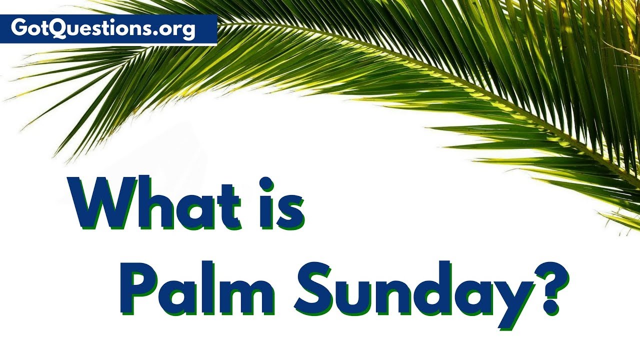 Palm Sunday Meaning: 7 Key Facts You Should Know 7 palm sunday meaning