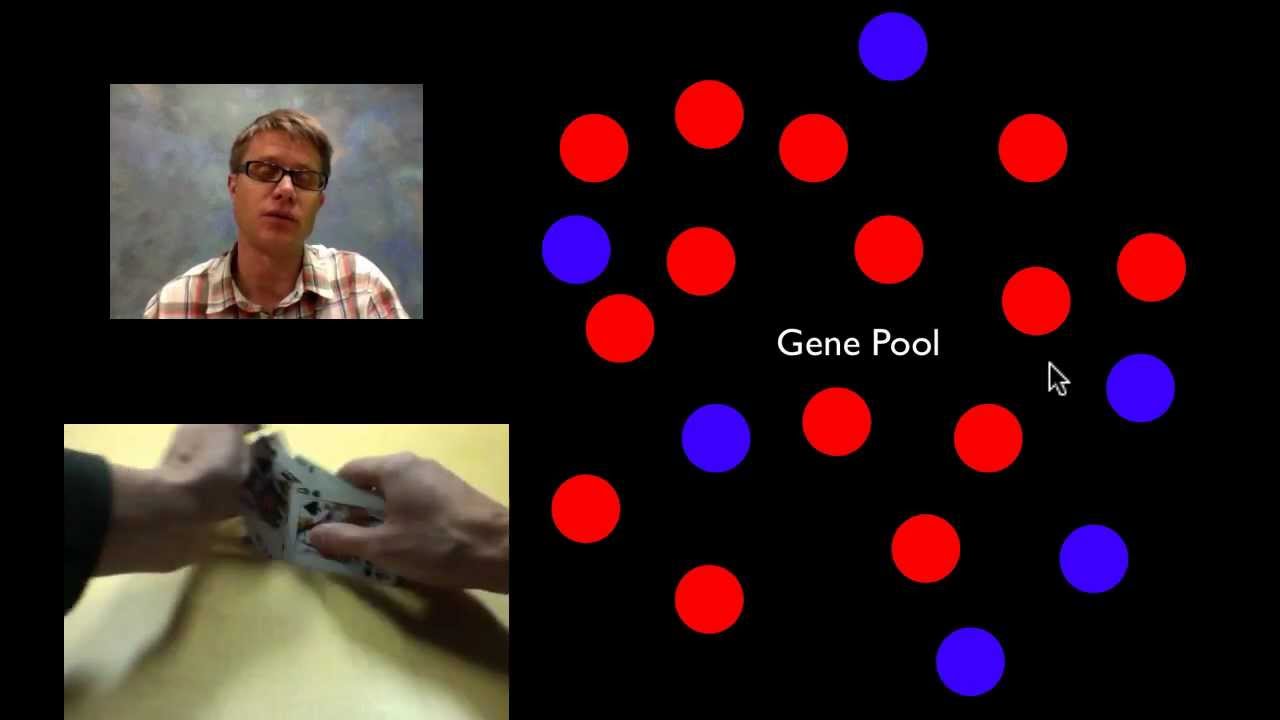 Microevolution: 7 Fascinating Insights into Evolution's Impact 5 microevolution