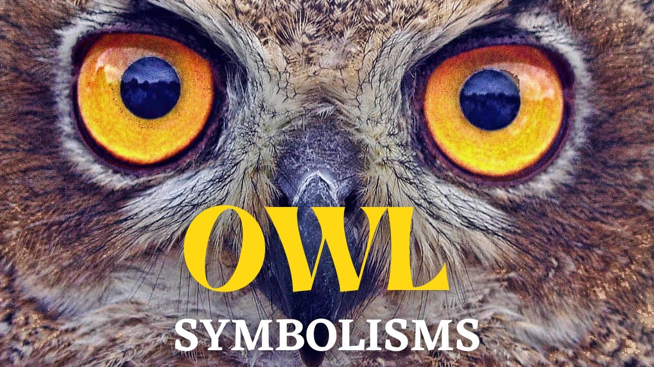 Owl Meaning Spiritual: 5 Fascinating Insights for 2025 4 owl meaning spiritual