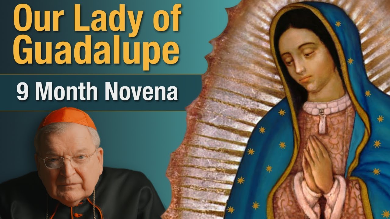 cardinal burke novena prayer to our lady of guadalupe