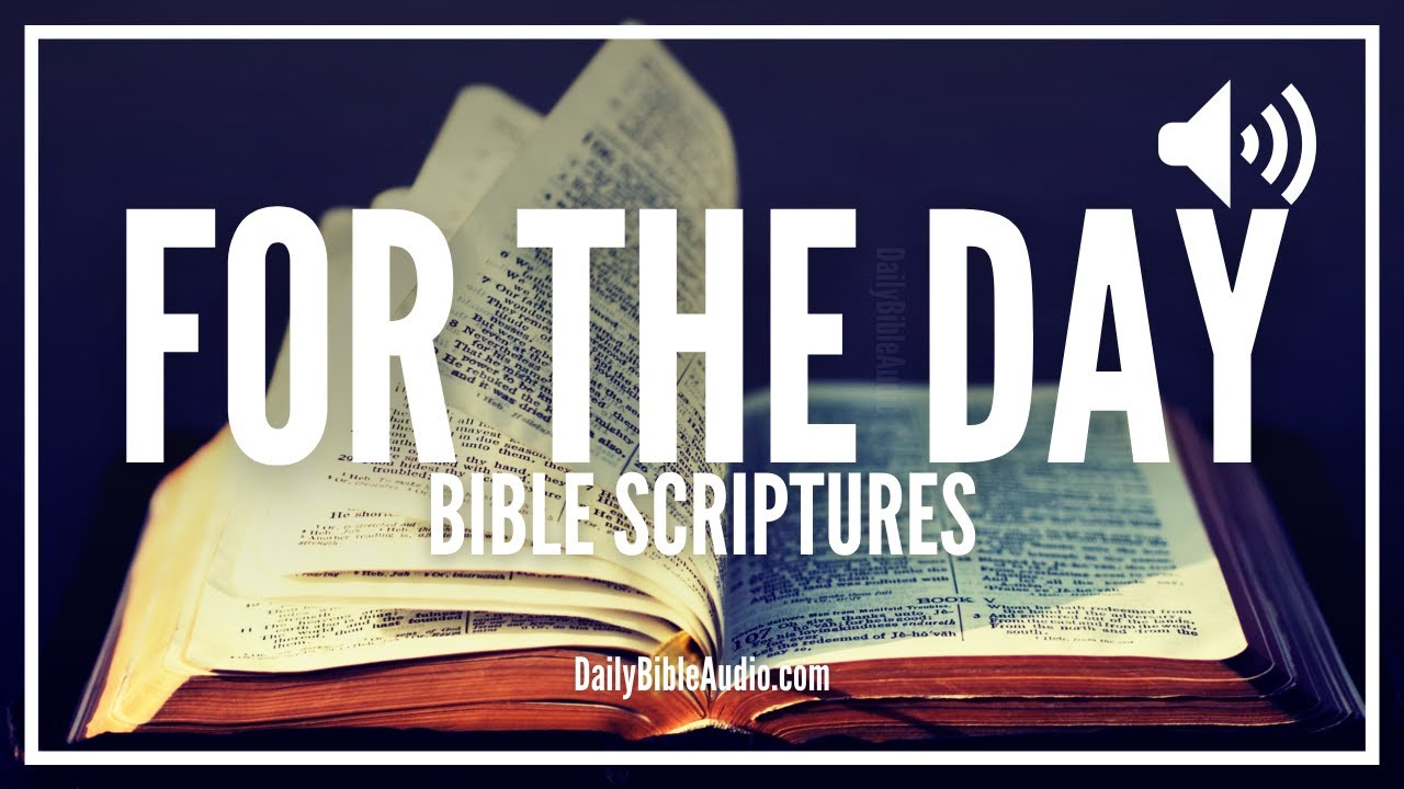 daily bible