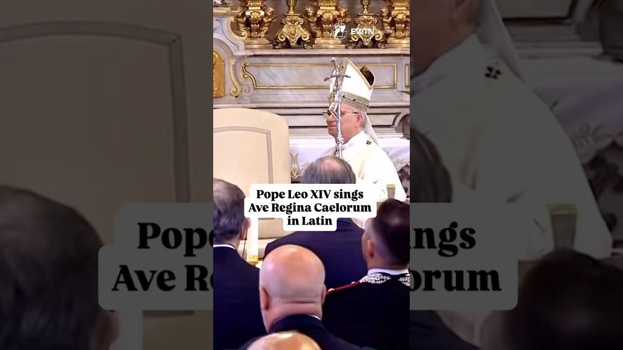 Pope Leo XIV prayer to Mary: essential guide with 5 key insights 4 pope leo xiv prayer to mary