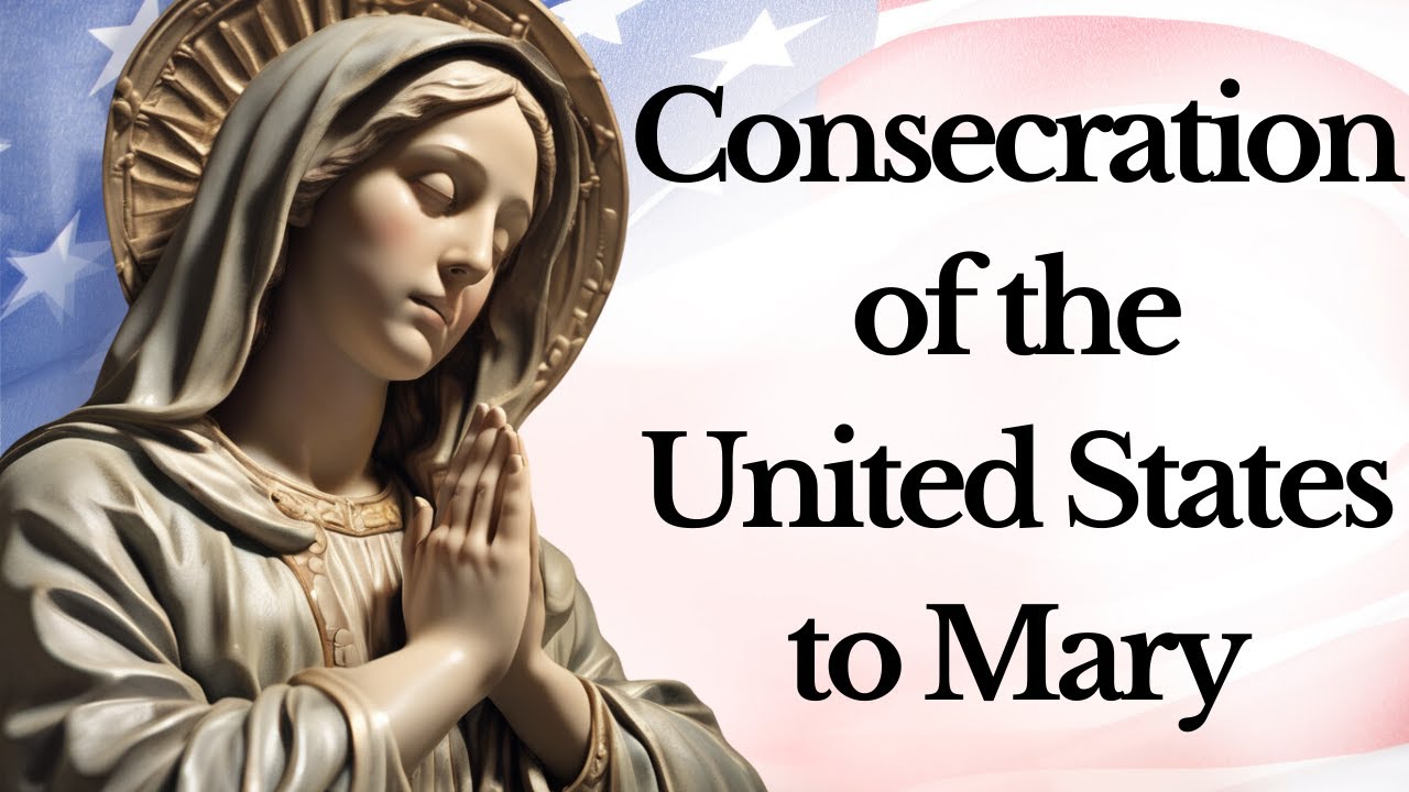 Prayer to mary immaculate patroness of the united states updated guide 1 prayer to mary immaculate patroness of the united states