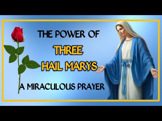 Prayer to Mary Mother of Jesus: Essential, Practical Guide in 7 Steps 5 prayer to mary mother of jesus