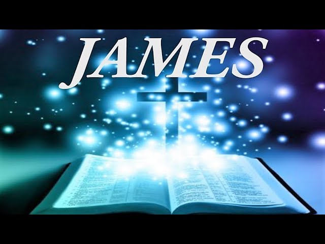 The message bible: essential, complete guide with 7 key facts 1 the message bible