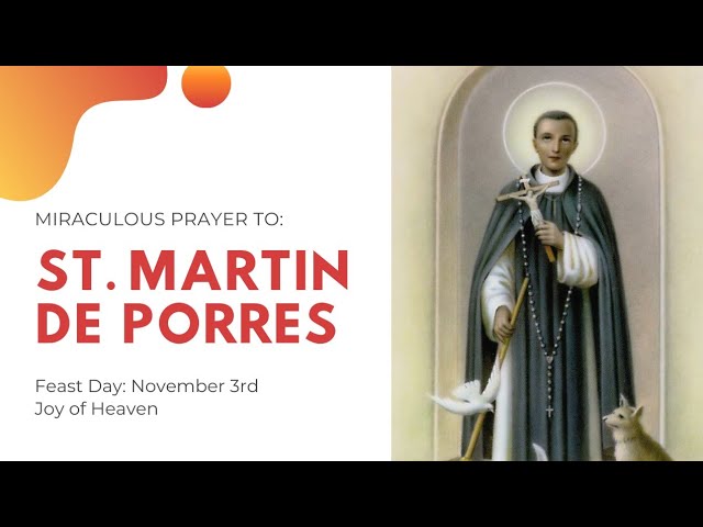 st martin de porres financial prayer