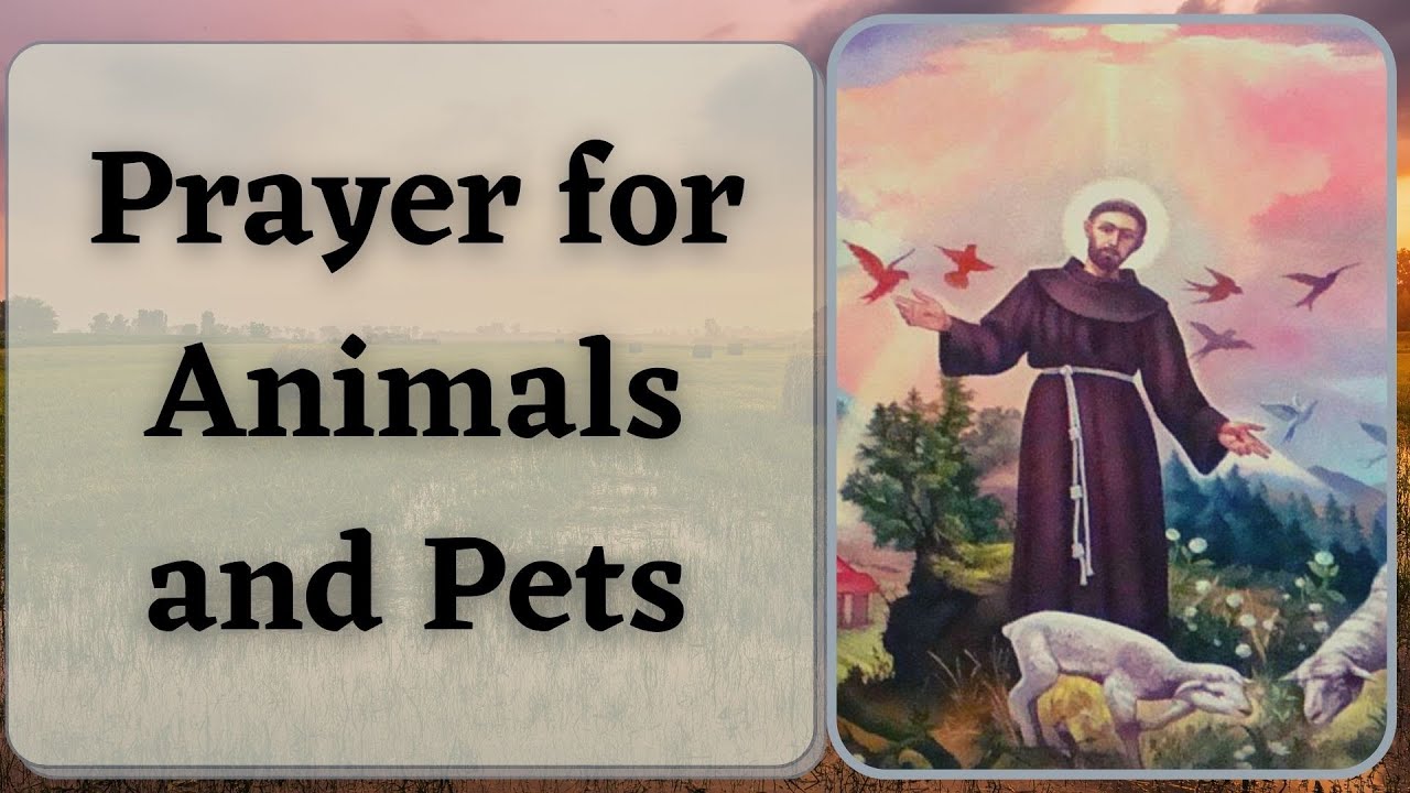 what saint do you pray to for animals