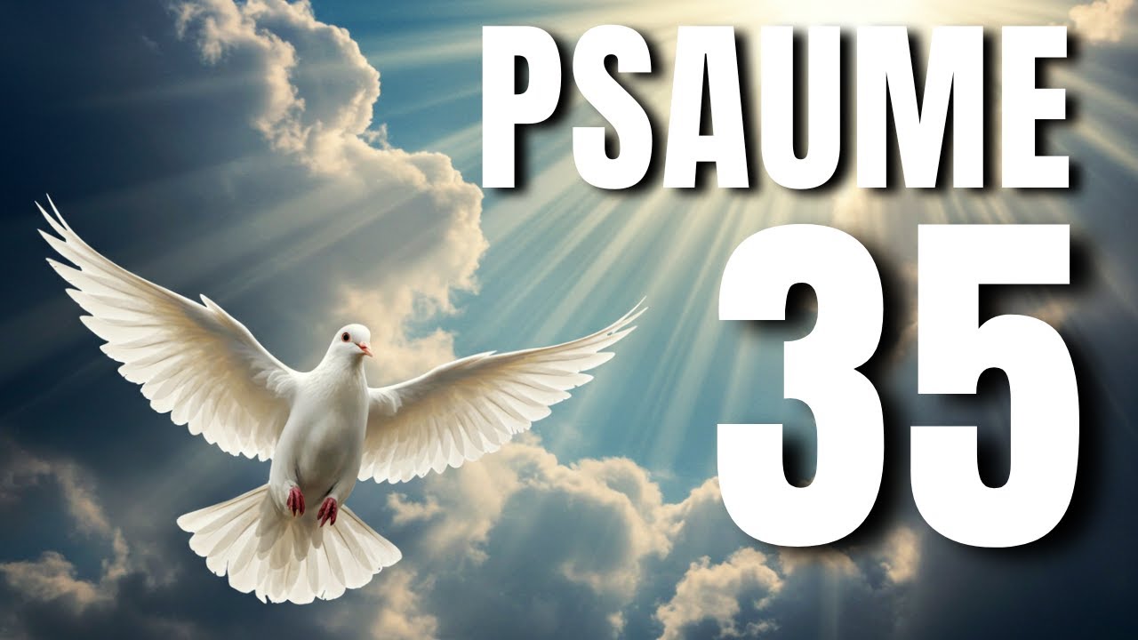 Psaume 35 : 7 leçons puissantes pour surmonter l'adversité 5 psaume 35