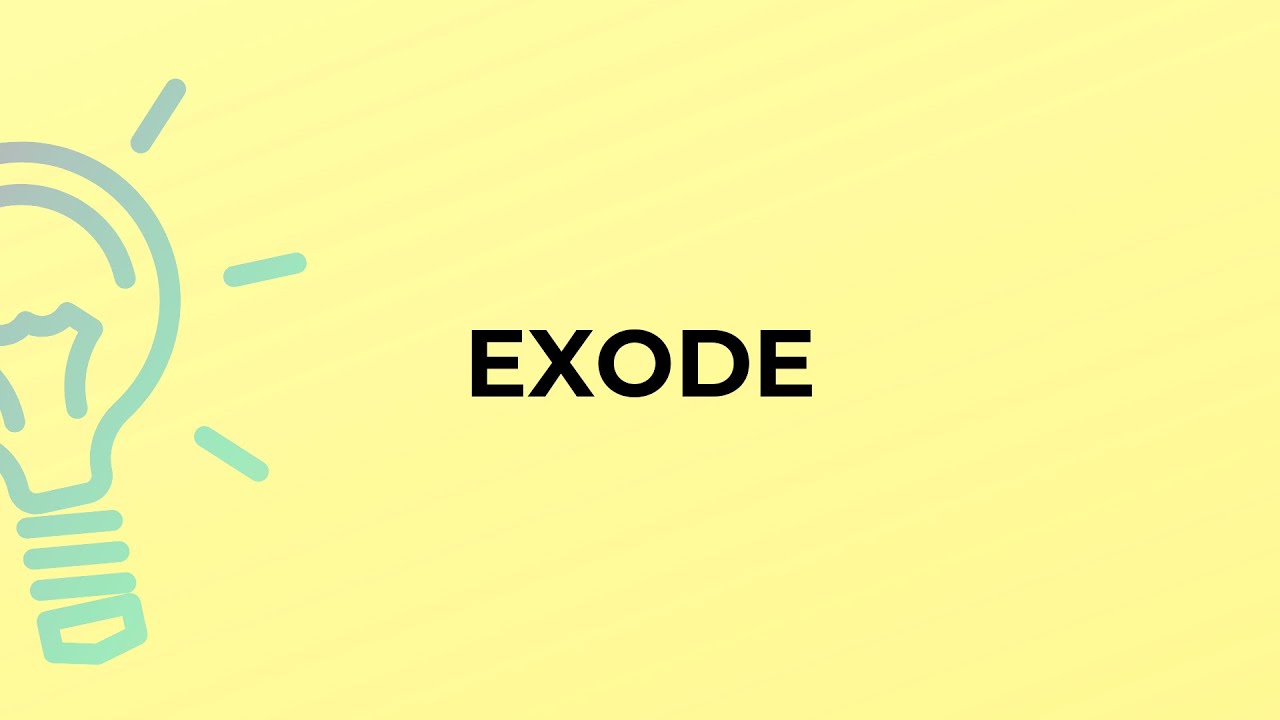 Exode def : 5 tendances marquantes pour comprendre 2025 4 exode def