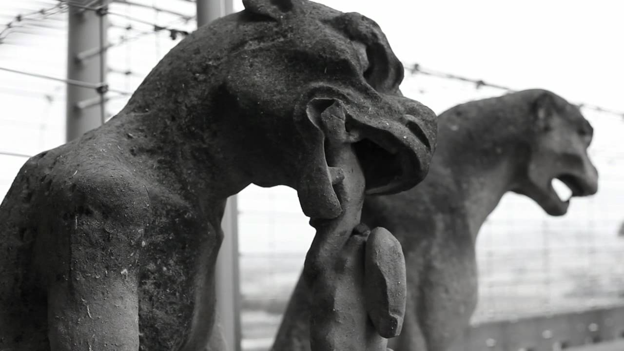 gargouille notre dame