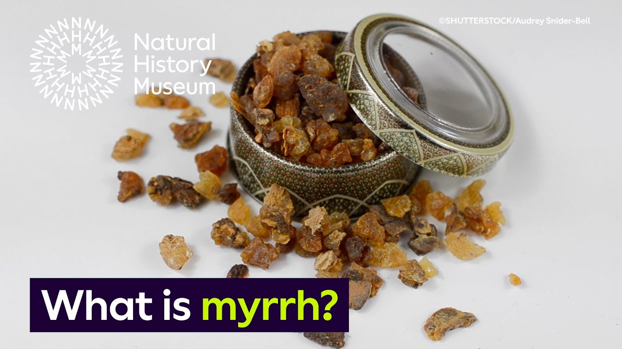 Myrrhe def : 5 bienfaits incontournables pour votre santé 5 myrrhe def