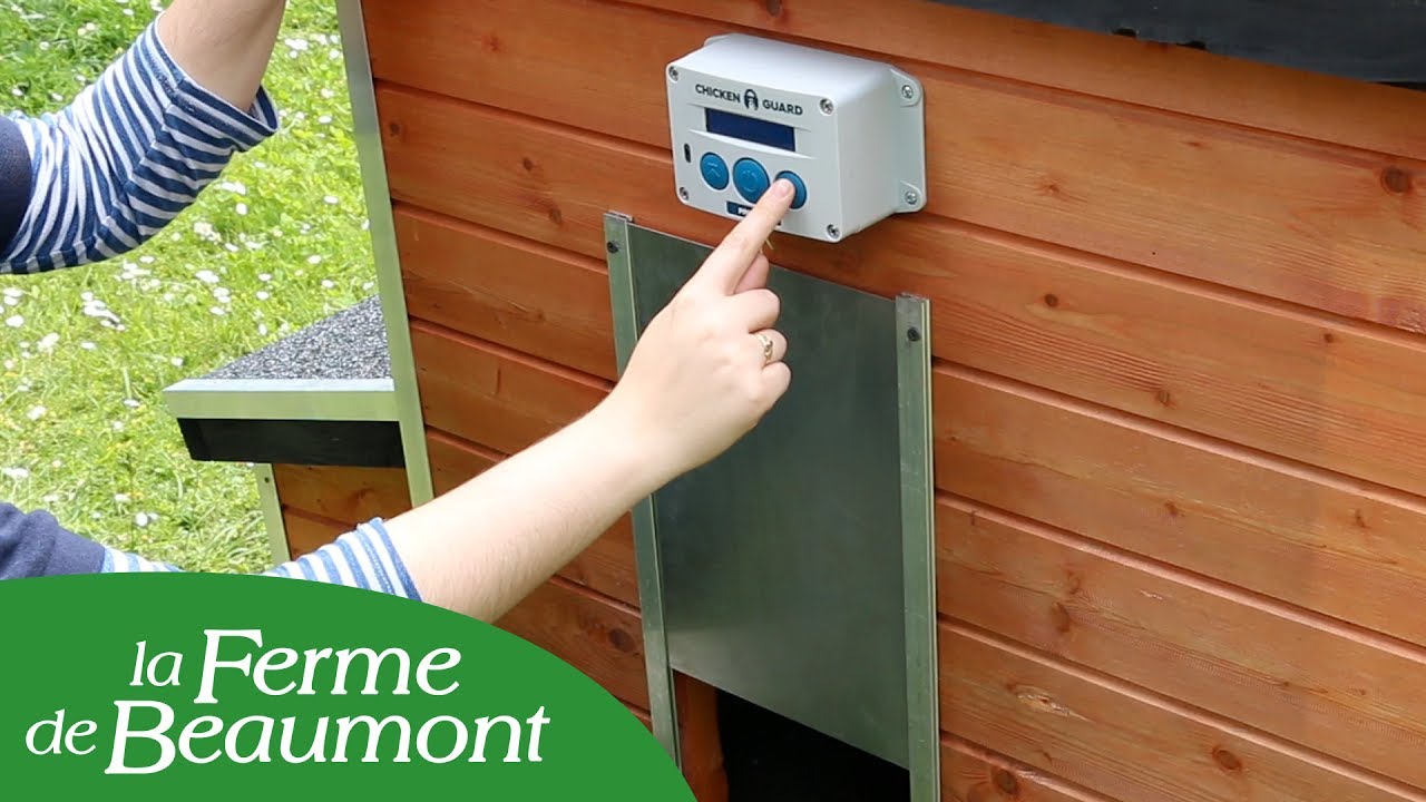 Porte de poulailler automatique : 5 avantages à découvrir ! 1 porte de poulailler automatique
