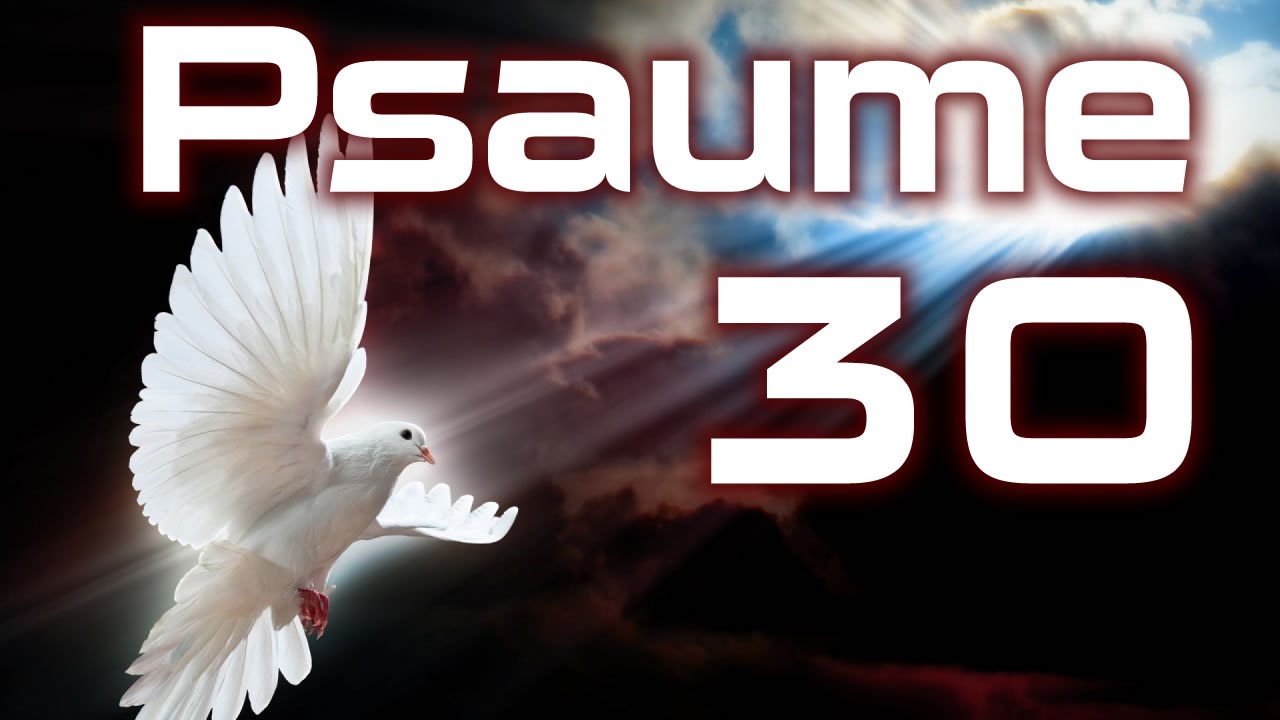 Psaume 30 : 7 leçons puissantes pour surmonter l'adversité 4 psaume 30