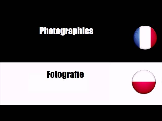 Traduction polonais français : 5 astuces pour réussir facilement 5 traduction polonais francais