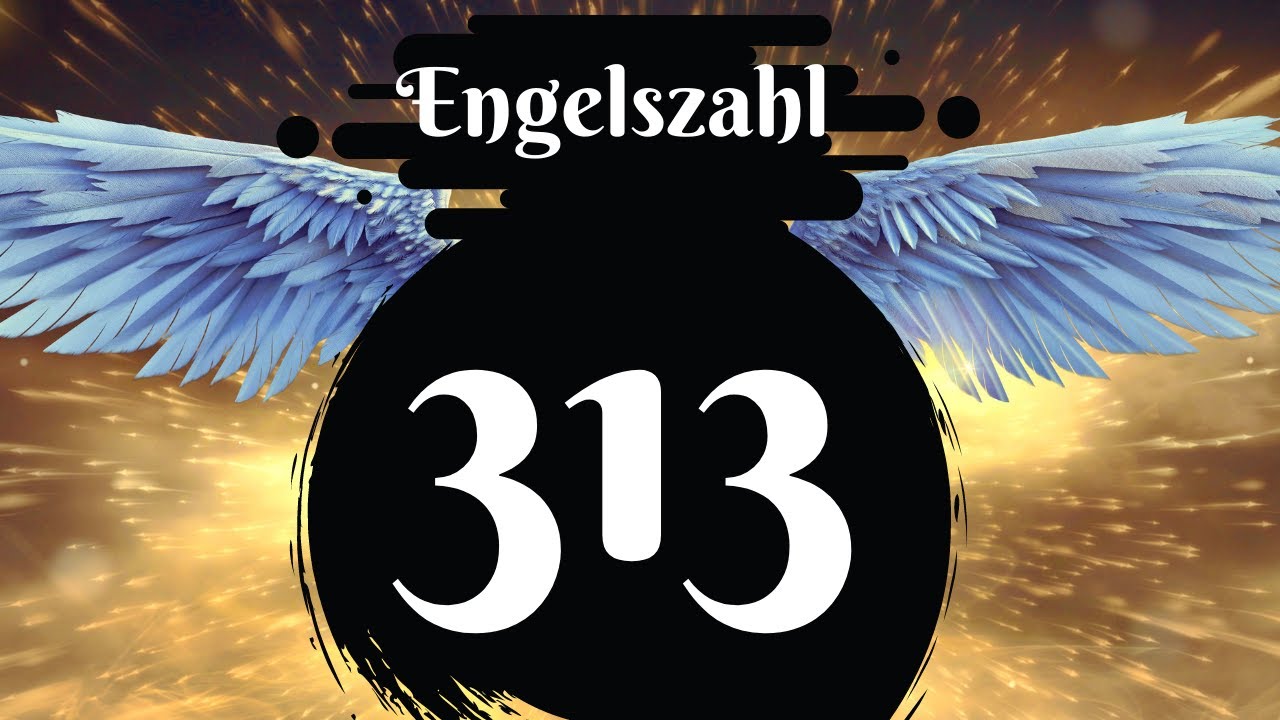 313 bedeutung