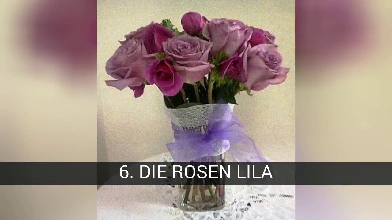 bedeutung von rosen