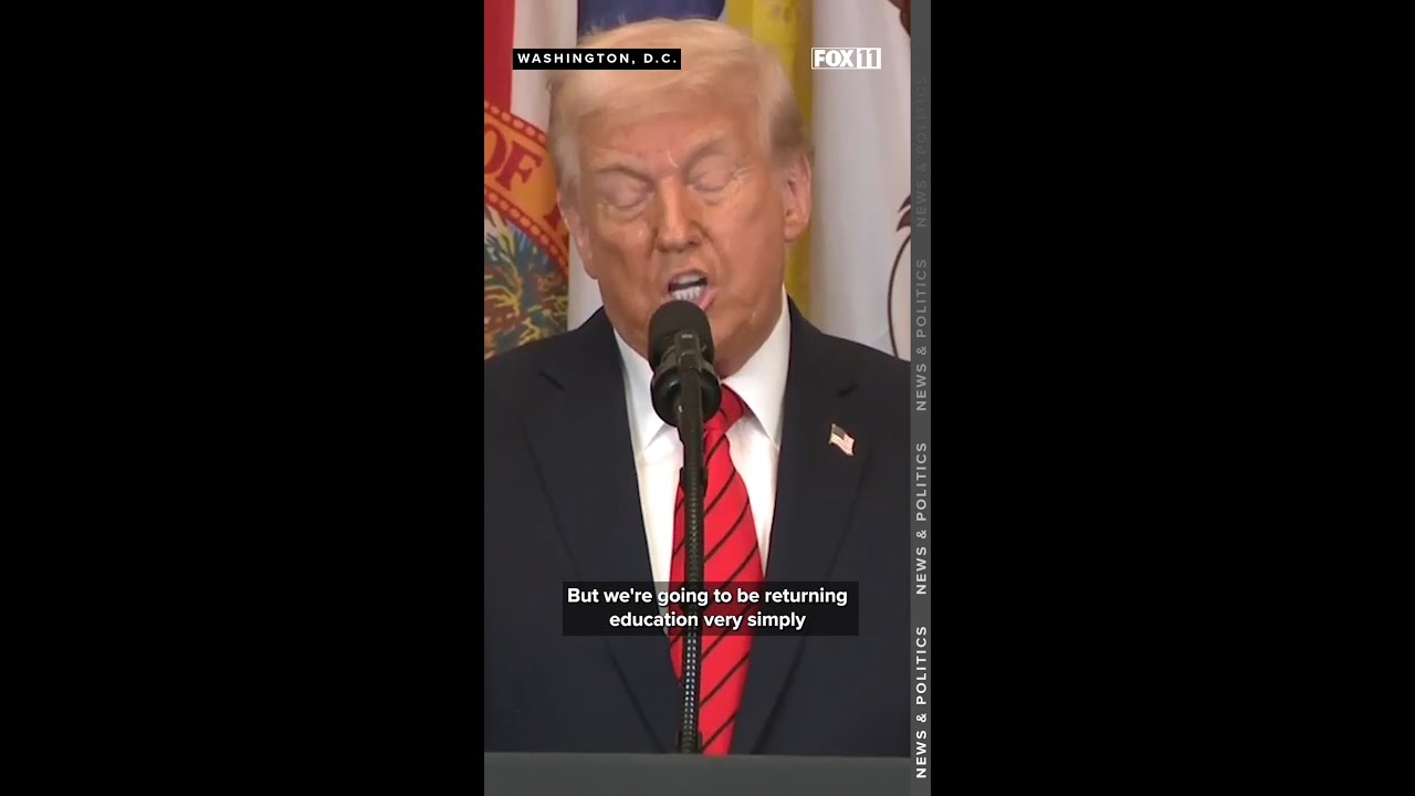 donald trump ausbildung