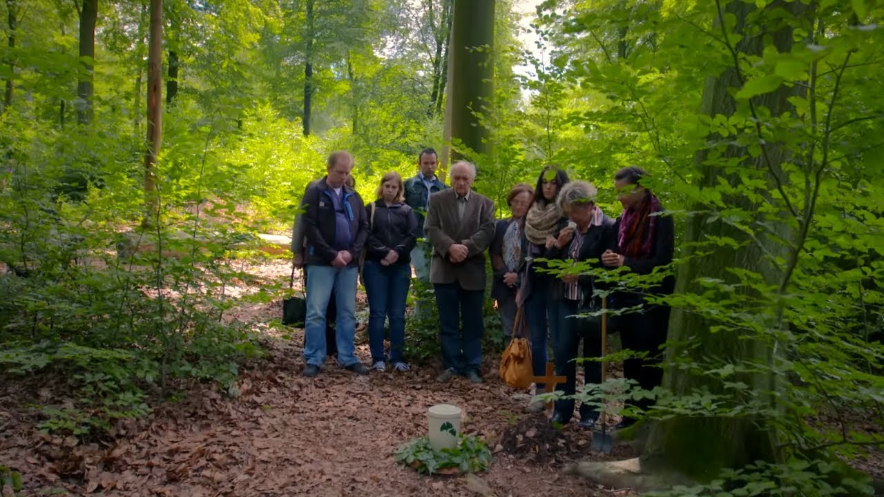 Friedwald: 7 Wege, um die Natur im Tod zu ehren 4 friedwald