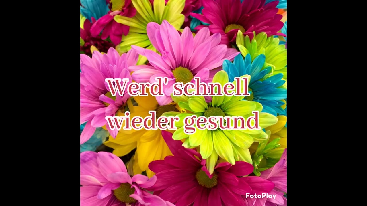 genesungswünsche für eine kollegin