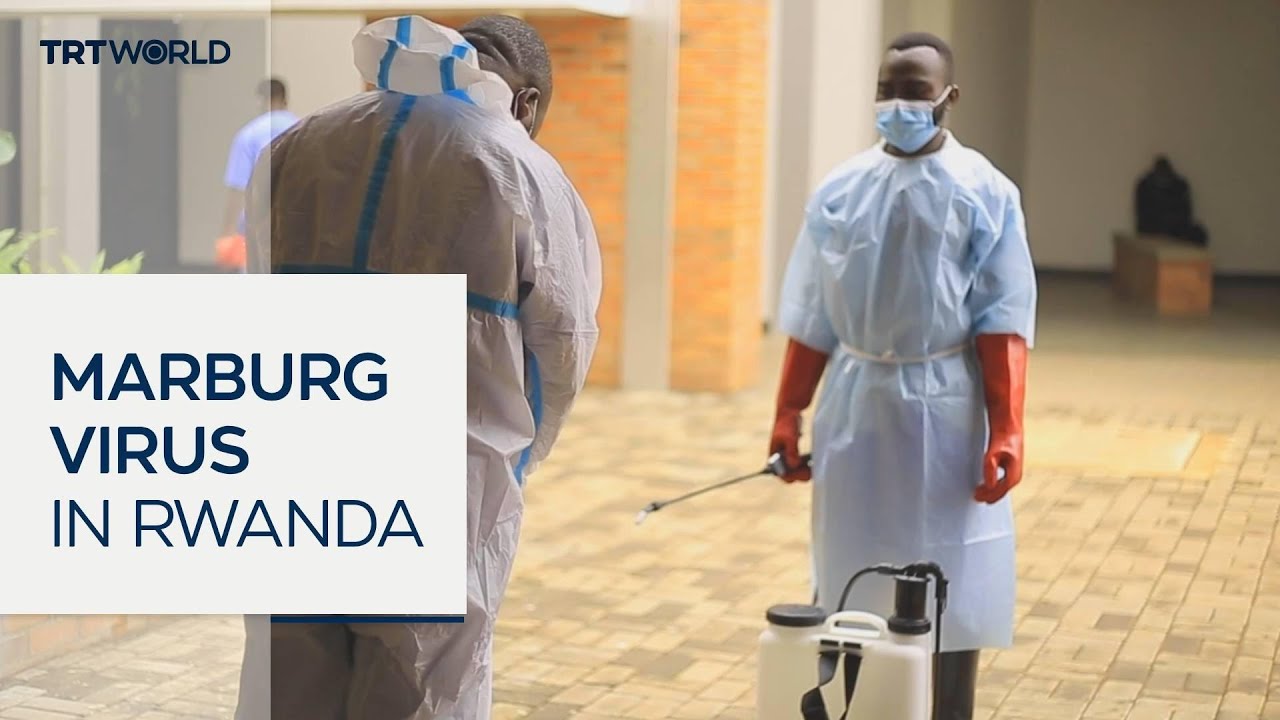 Marburg Virus Ruanda: 5 Fakten, die Sie unbedingt kennen sollten 4 marburg virus ruanda