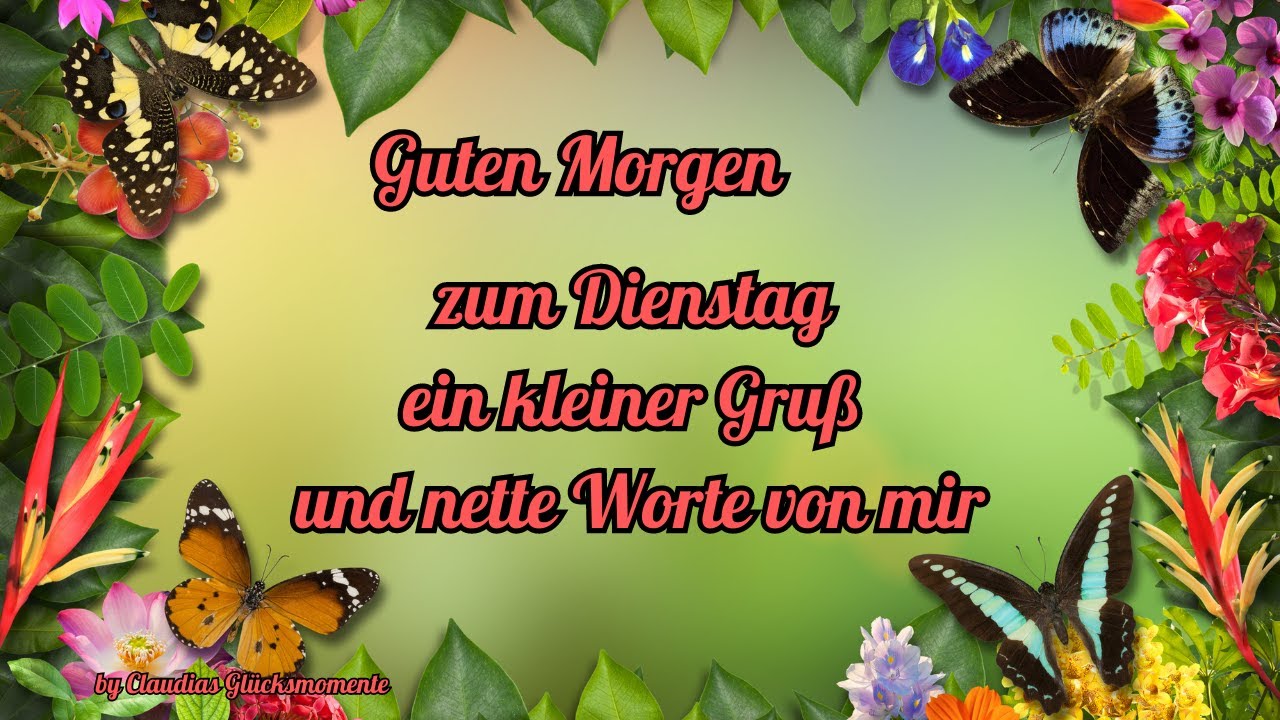 Sitemapcdatahttpswwwkedriinfospruche Fur Dienstagnull