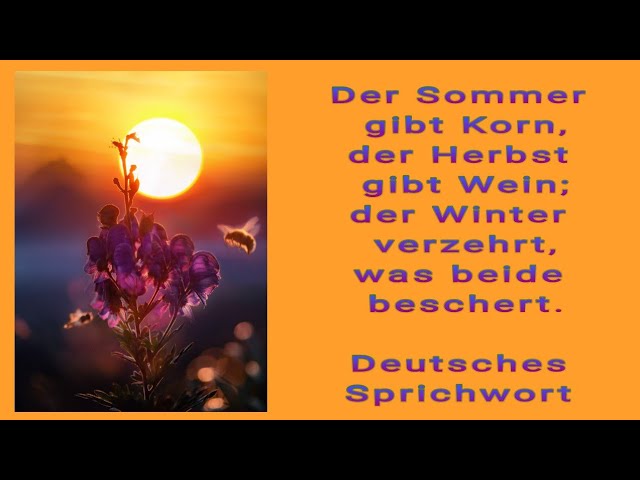 Sprüche für den Sommer: 15 tolle Zitate für gute Laune! 4 sprüche für den sommer