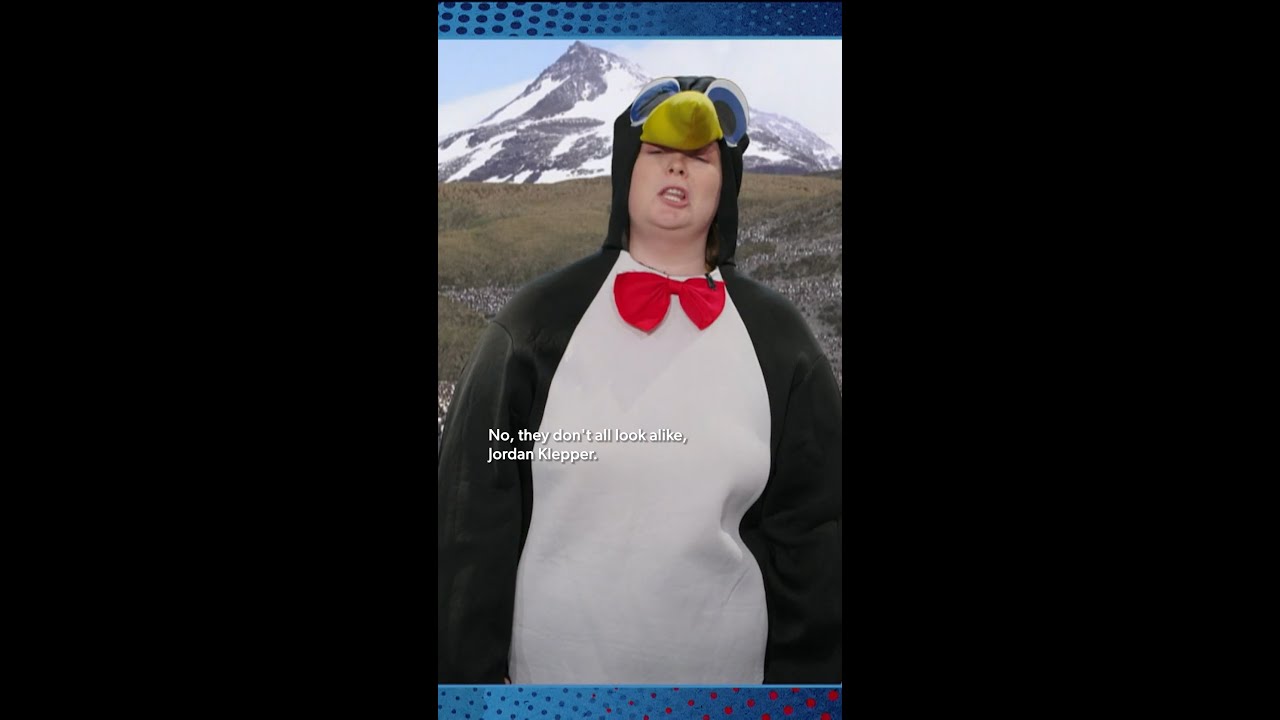 tv moderator