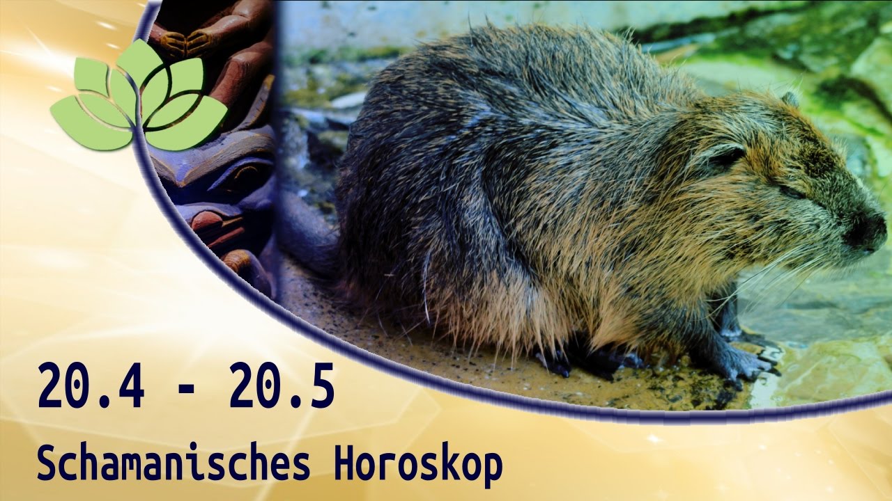 Indianisches sternzeichen biber: Ratgeber – vollständig & praktisch 5 indianisches sternzeichen biber
