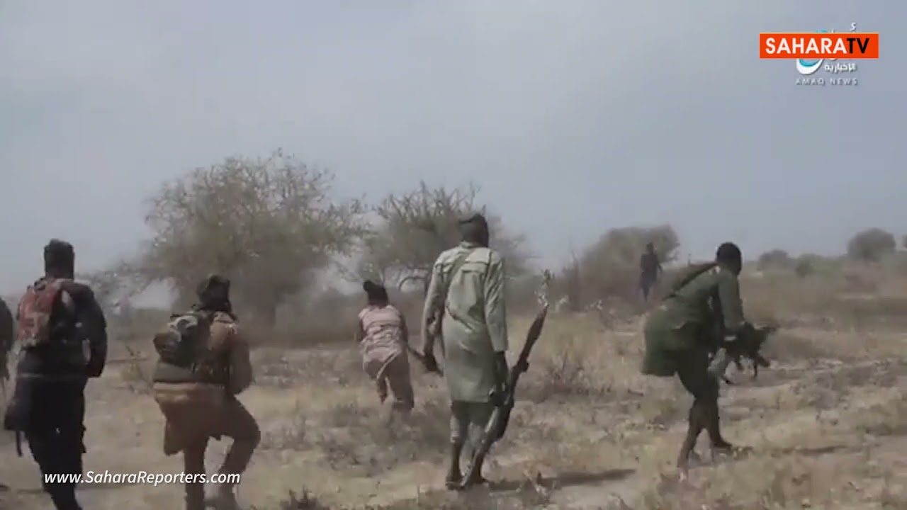 Boko Haram 2025: 7 fatti sorprendenti che devi conoscere 1 boko haram