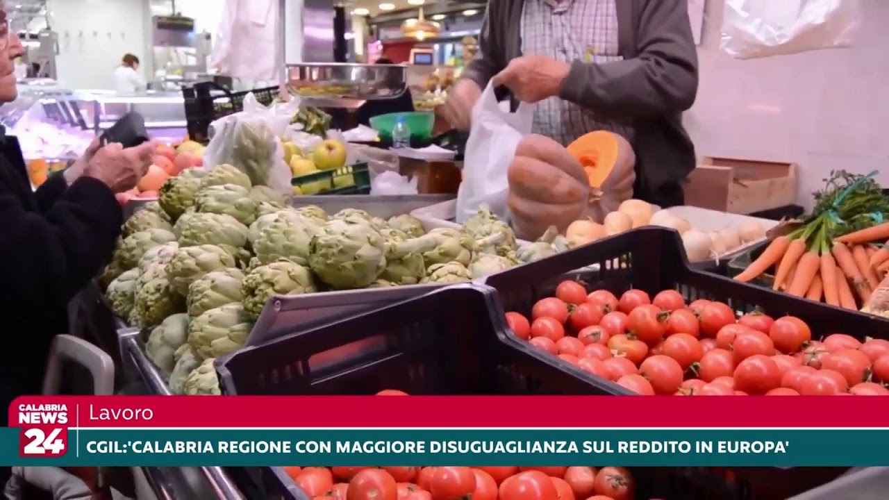 calabria news 24 oggi
