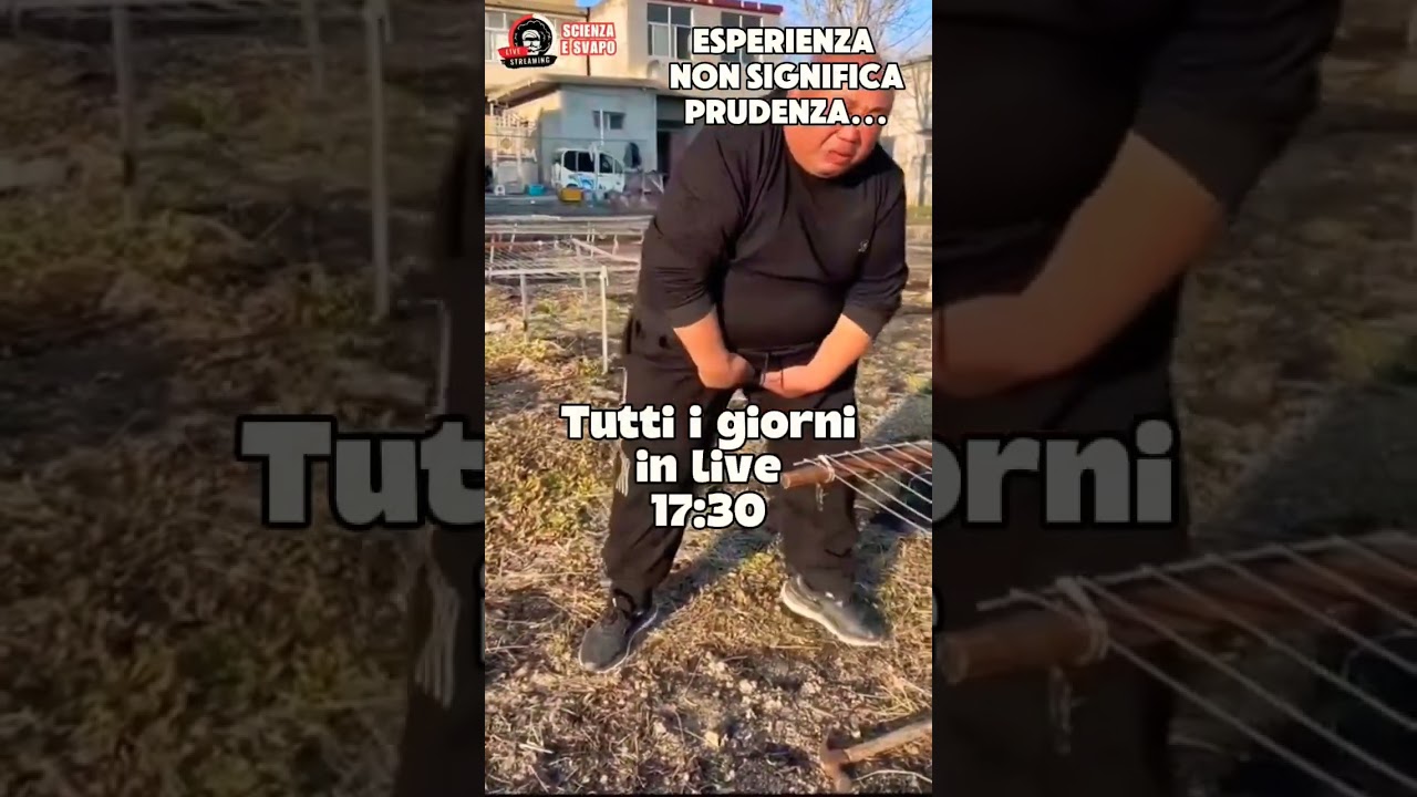 forza sinonimo