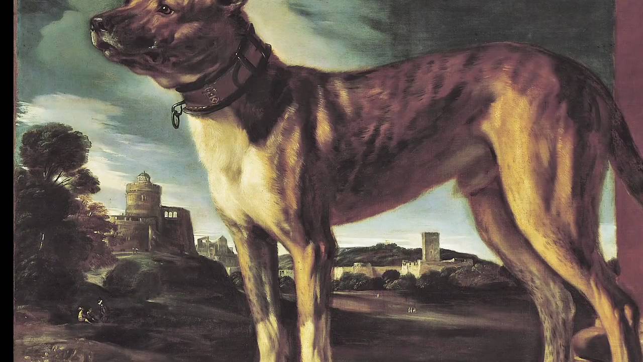 Guercino 2025: 7 opere straordinarie da scoprire subito 3 guercino