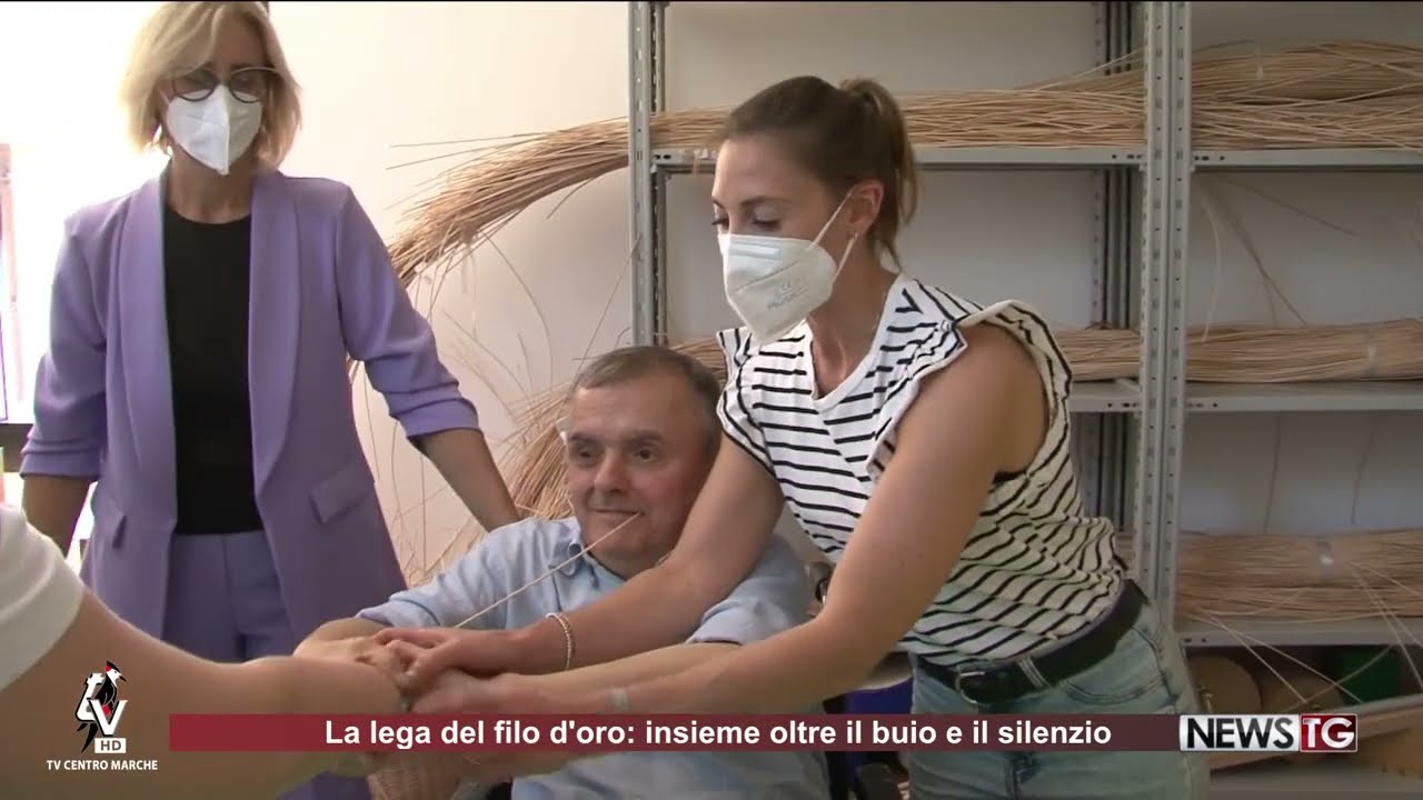 Lega del filo d'oro scandalo 2025: 7 verità sconvolgenti da scoprire 1 lega del filo d'oro scandalo