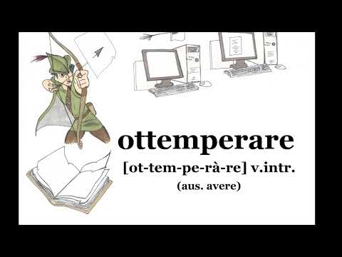 Ottemperare 2025: 7 strategie per il successo immediato 1 ottemperare