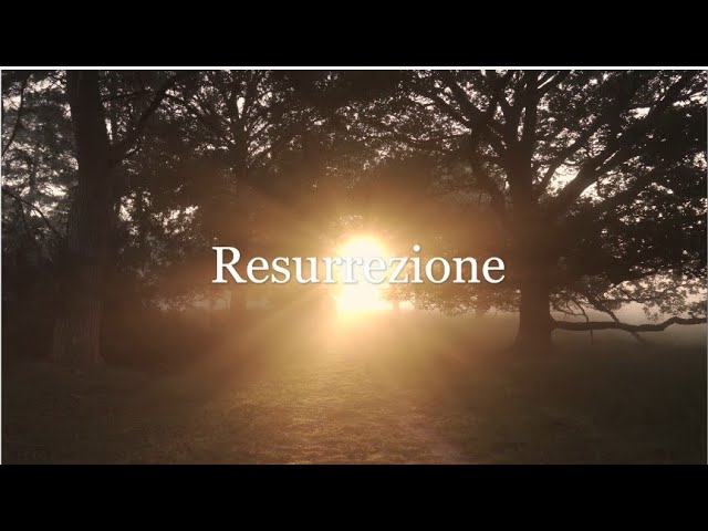 Resurrezione 2025: 7 modi sorprendenti per reinventarti 1 resurrezione