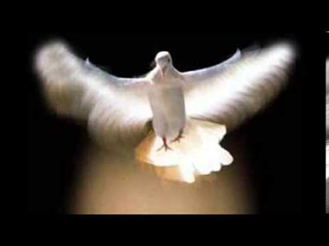 Sequenza allo Spirito Santo: 5 passi per la tua fede nel 2025 3 sequenza allo spirito santo