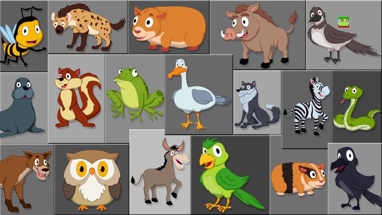 Animali con la e: 7 curiosità affascinanti da scoprire nel 2025 3 animali con la e