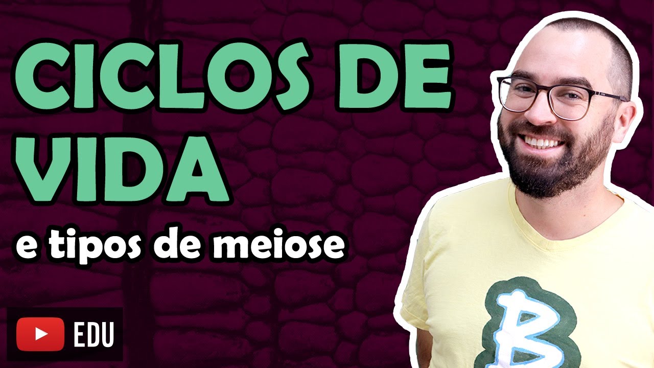 ciclos da vida