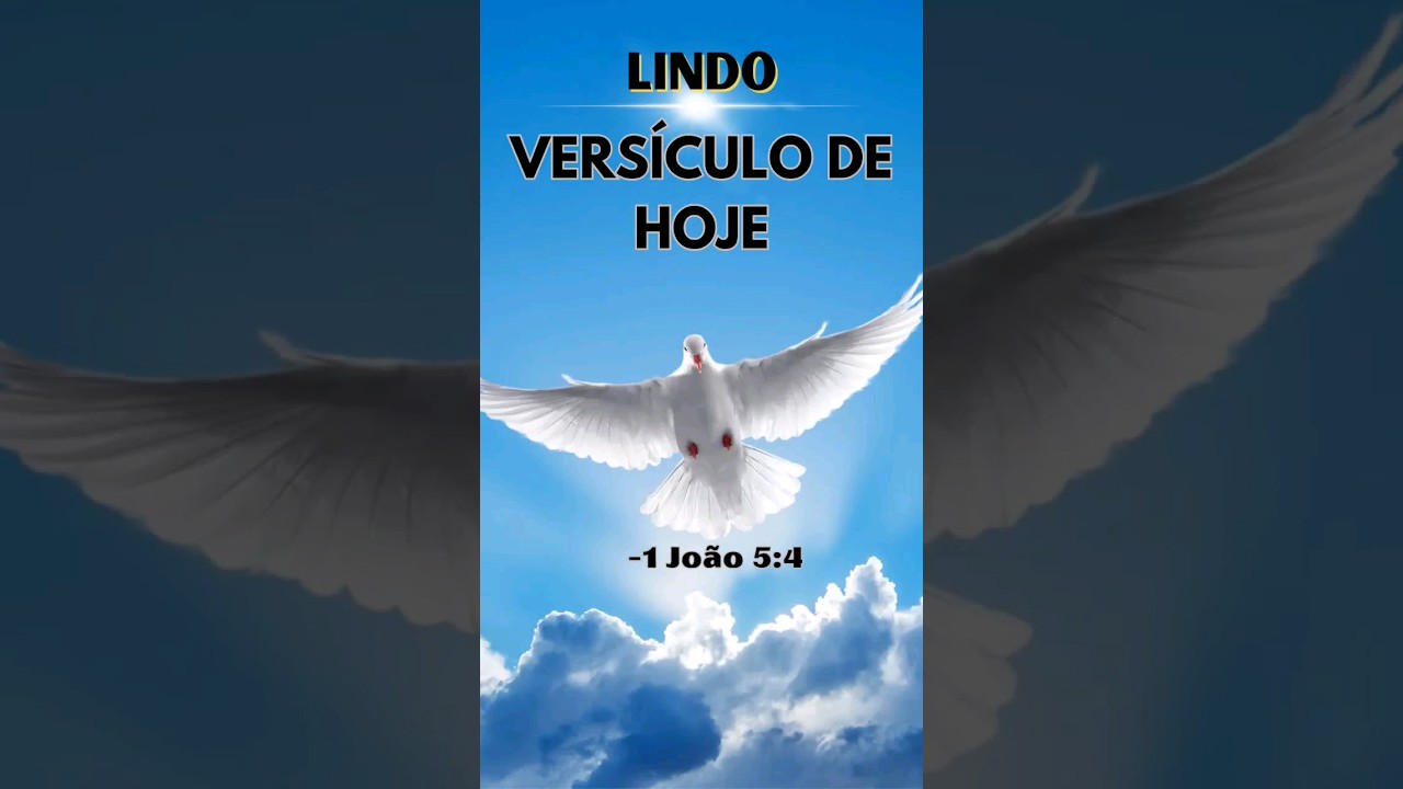 Hoje é dia de fé: 7 lições inspiradoras para sua vida 1 frase bíblica do dia