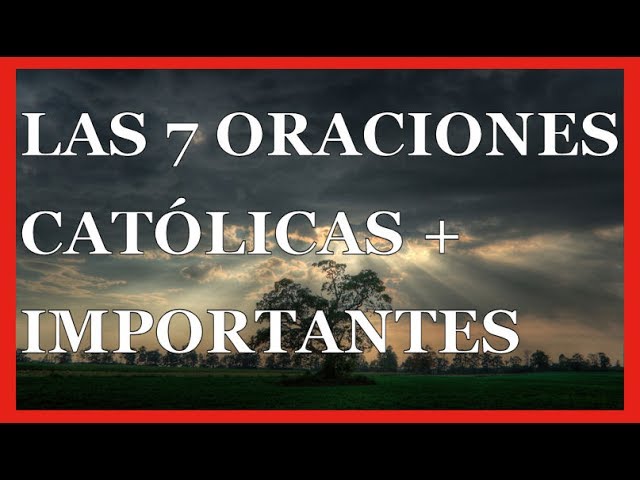 Na luz de Cristo: 7 ensinamentos católicos para sua vida 4 frases católicas