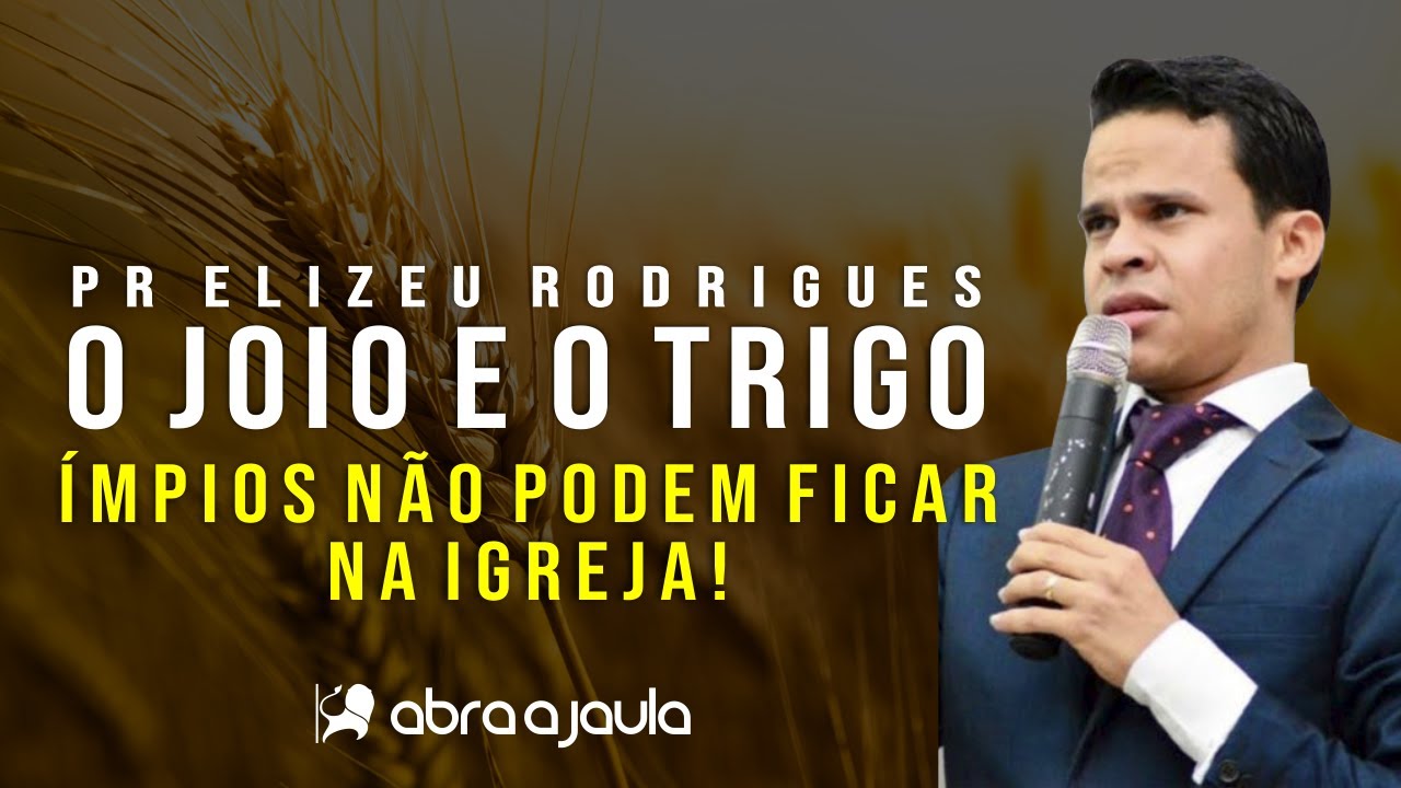 Joio e trigo: 7 lições valiosas para sua vida e decisões 3 joio e trigo