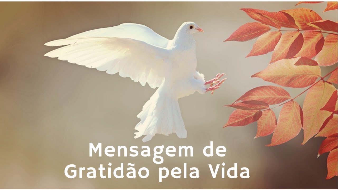 Gratidão pela Vida: 7 Lições Valiosas para Refletir 5 mensagem de gratidão pela vida