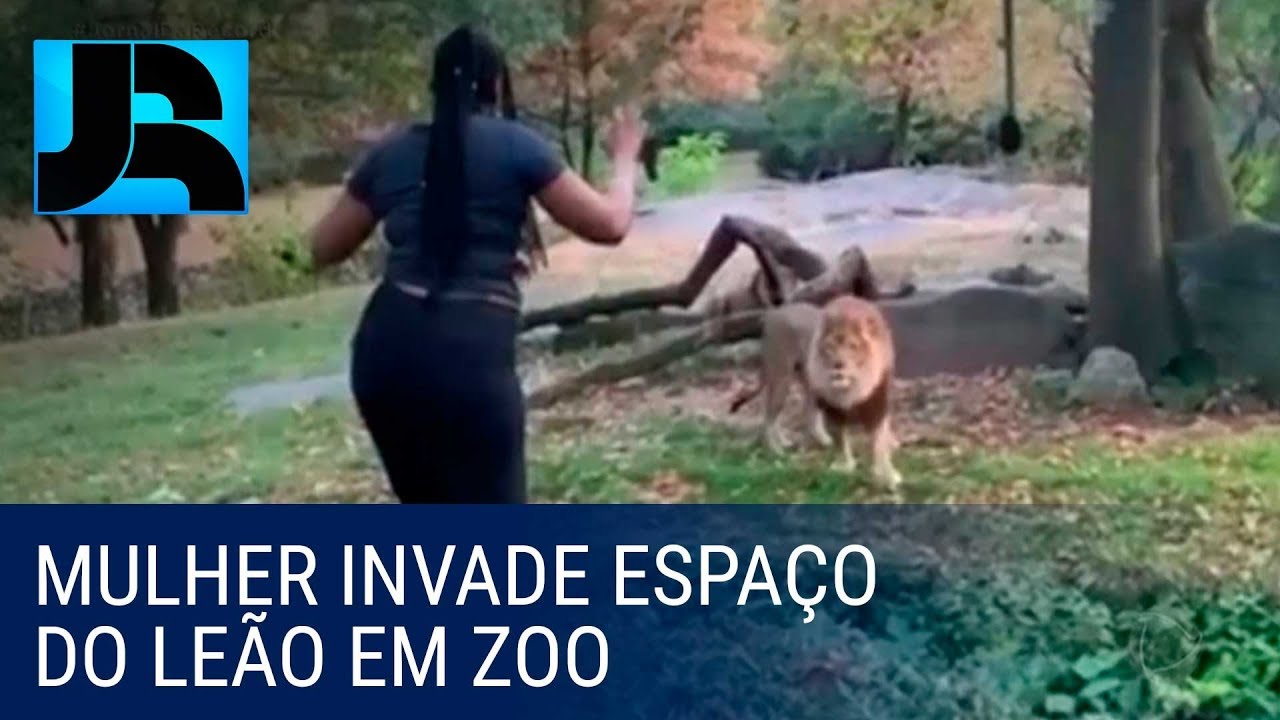 notícias sobre leão