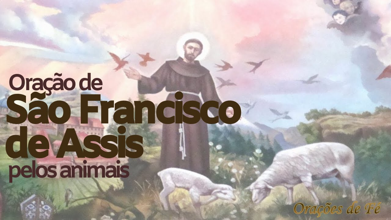 Santo dos animais: 5 curiosidades que você precisa saber