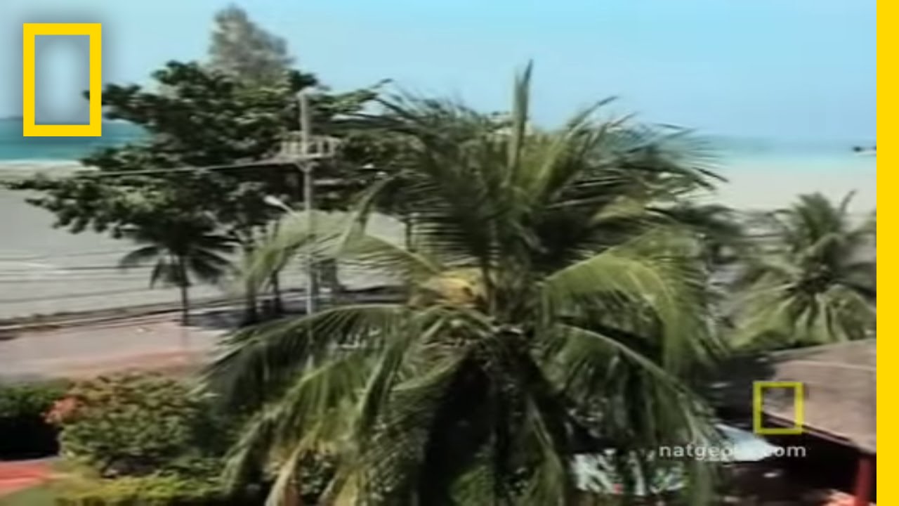 Tsunami 2004: 5 lições imperdíveis sobre desastres naturais 1 tsunami 2004