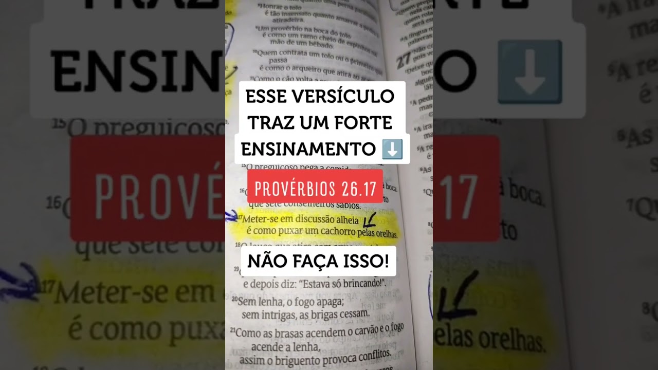 Versículo do dia reflexão: 7 lições para a vida diária 5 versículo do dia reflexão