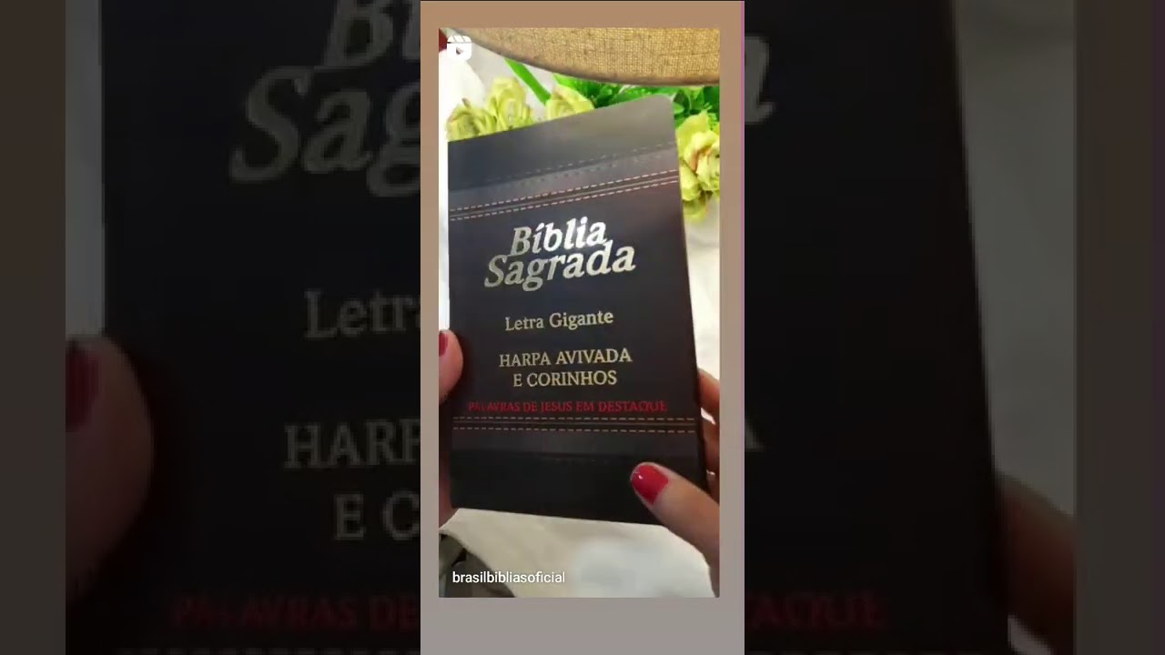 Bíblia católica online: 7 recursos valiosos para sua fé 4 bíblia católica online