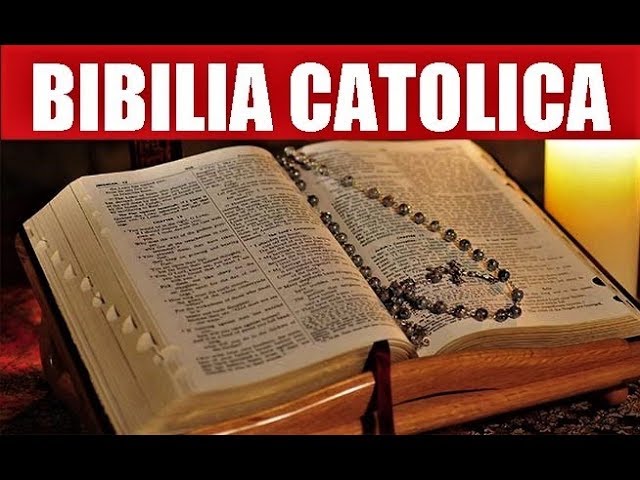 Bíblia Católica: 7 ensinamentos que transformam sua vida 5 biblia catolica