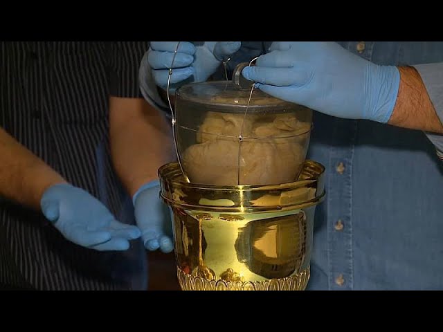 Coração de Dom Pedro: 5 curiosidades fascinantes que você deve saber 5 coração de dom pedro
